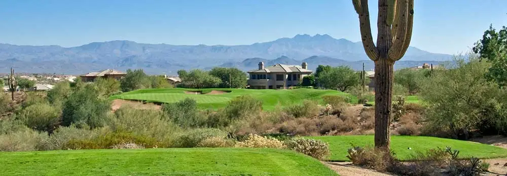 Carefree Arizonans Trust Our Bee Removal Service